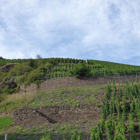 Relaxen Im Weindorf Mayschoss Fewo 4 Exterior foto